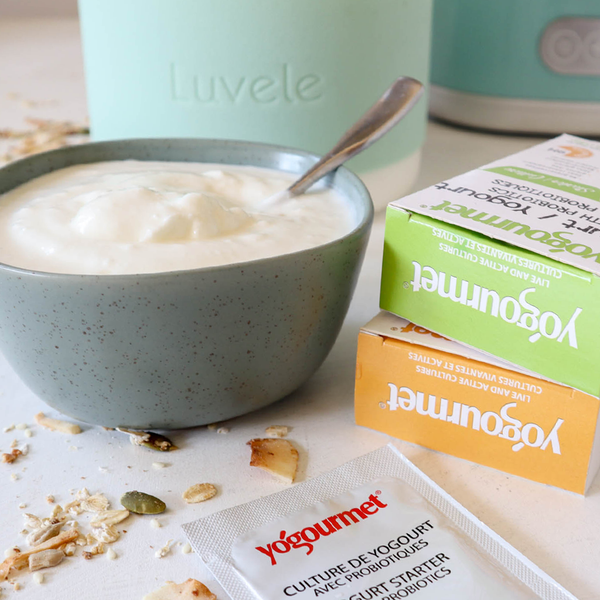 How to make probiotic yogurt at home - Luvele AU