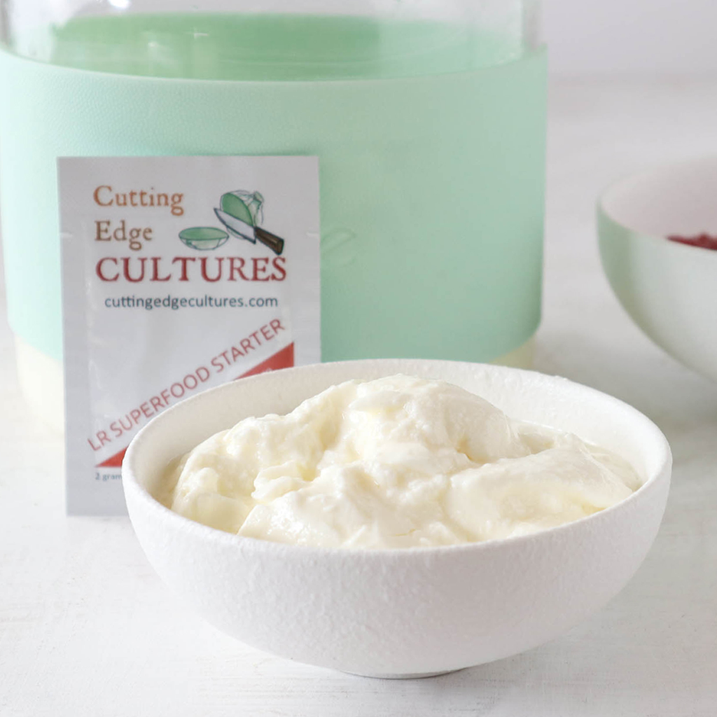 L. Reuteri Superfood Yogurt in a Sous Vide￼￼ - Cultured Food Life